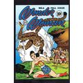 Wonder Woman Issue 6 WW2 Art DC War Comic Book ...