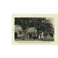 Plaza De Cataluna, Barcelona, (Industry & Flowe...