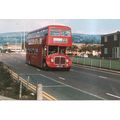 Colour Photograph of Western Welsh Omnibus Co. ...