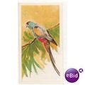 Vintage 1978 Brooke Bond Tea card Vanishing Wil...