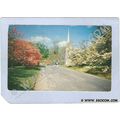 CT Fairfield Dogwood Time On Greenfield Hill ct...