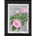 ALGERIA 1969 ALGERIAN FLOWERS 70c ROSE SG 529 F...
