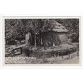 Neolithic Lake Dwelling Abbey Folk Park New Bar...
