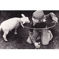 Prince William Willem Alexander & Goat in 1975 ...