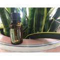 doTERRA NIaouli Essential Oil NEW & SEALED Exp ...