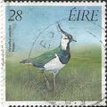 EIRE, BIRD, Northern Lapwing, Vanellus vanellus...