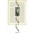 Albanian Gipsy Beggar, Book Illustration (Print...