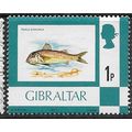 GIBRALTAR 1977 SG 375 - MNH (**) - FISH