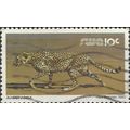 SOUTH WEST AFRICA, CAT, Cheetah, Acinonyx jubat...