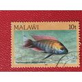 Malawi 1984 10t Fairy Cichlid Used SG 693 Sc 43...