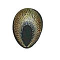 Iron On Patch Peacock Eye Sew Badge Embroidered...