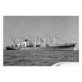 mc5072 - American Cargo Ship - Mormacaltair - p...