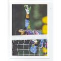 TC0031 - Italy Goalkeeper - Angelo Peruzzi - po...