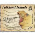 FALKAND ISLANDS, MAMMALS, Southern Elephant Sea...