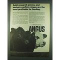 1978 American Angus Association Ad - Research Proves