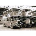 Black & White Photograph of Northampton Corpora...