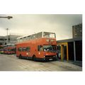 Colour Photograph of Greater Manchester Buses L...