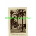 Cairo, El Merg Near Heliopolis, Egypt, Book Ill...