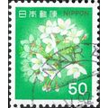 JAPAN, FLOWER, Cherry, Prunus serrulata, green ...