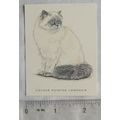 Golden Era card - Cats No. 10 Colour Pointed Lo...