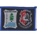 Scout Double Badge UK Buckinghamshire/Alderbour...