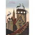 67 - Strasbourg - un nid de cigognes