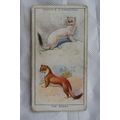 1932 Ogdens Colour in Nature No. 45 Seasonal Ch...