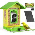Birdsnap® APS - Metal Bird Feeder with Camera S...