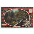 Rouken Glen Glasgow Postcard Robertson Tartan 2161