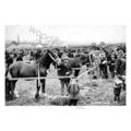 pt5456 - Yorks - The Penistone Agricultual Show...