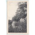 On the River Otter Budleigh Salterton Devon Pos...