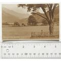 vintage postcard Gelerts Grave, Beddgelert