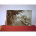 unknown garden scene unused postcard real photo...
