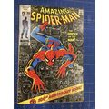 Original The Amazing Spiderman Comic Issue 100!...