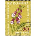 ROMANIA, FLOWER, Foxglove, yellow 1959, 20bani, #2