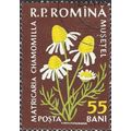 ROMANIA, FLOWER, Matricaria chamomilla, brown 1...