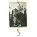 Mount Robson, Canadian Rockies, Book Illustrati...