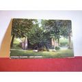 ENTRANCE TO CAVES, WEST WYCOMBE, BUCKINGHAMSHIR...