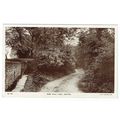 Norfolk postcard New Hall Lane Hopton