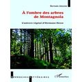 A L'ombre Des Arbres De Montagnola