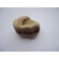 Unique Natural Gratitude Stone/Rock Law of Attr...