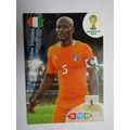 Didier Zokora - Ivory Coast - 2014 Panini Adren...