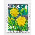 JERSEY 2007 FLOWERS MOUSE EAR HAWKWEED WILD 80p...