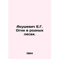 Akushevich E.G. Lights in native forests. In Ru...