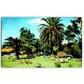 Ranchotel San Luis Obispo Ca. Vintage Postcard ...