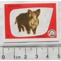 vintage Matchbox Label - 50 Drvaca - Divlja Svinja