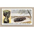 Vintage 1937 CHURCHMAN TREASURE TROVE Cigarette...