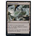 Magic the Gathering MTG Battle For Zendikar 229...