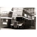Black & White Photograph of Northern General Tr...