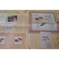 December Plants Cross Stitch Chart 1990s Magazi...